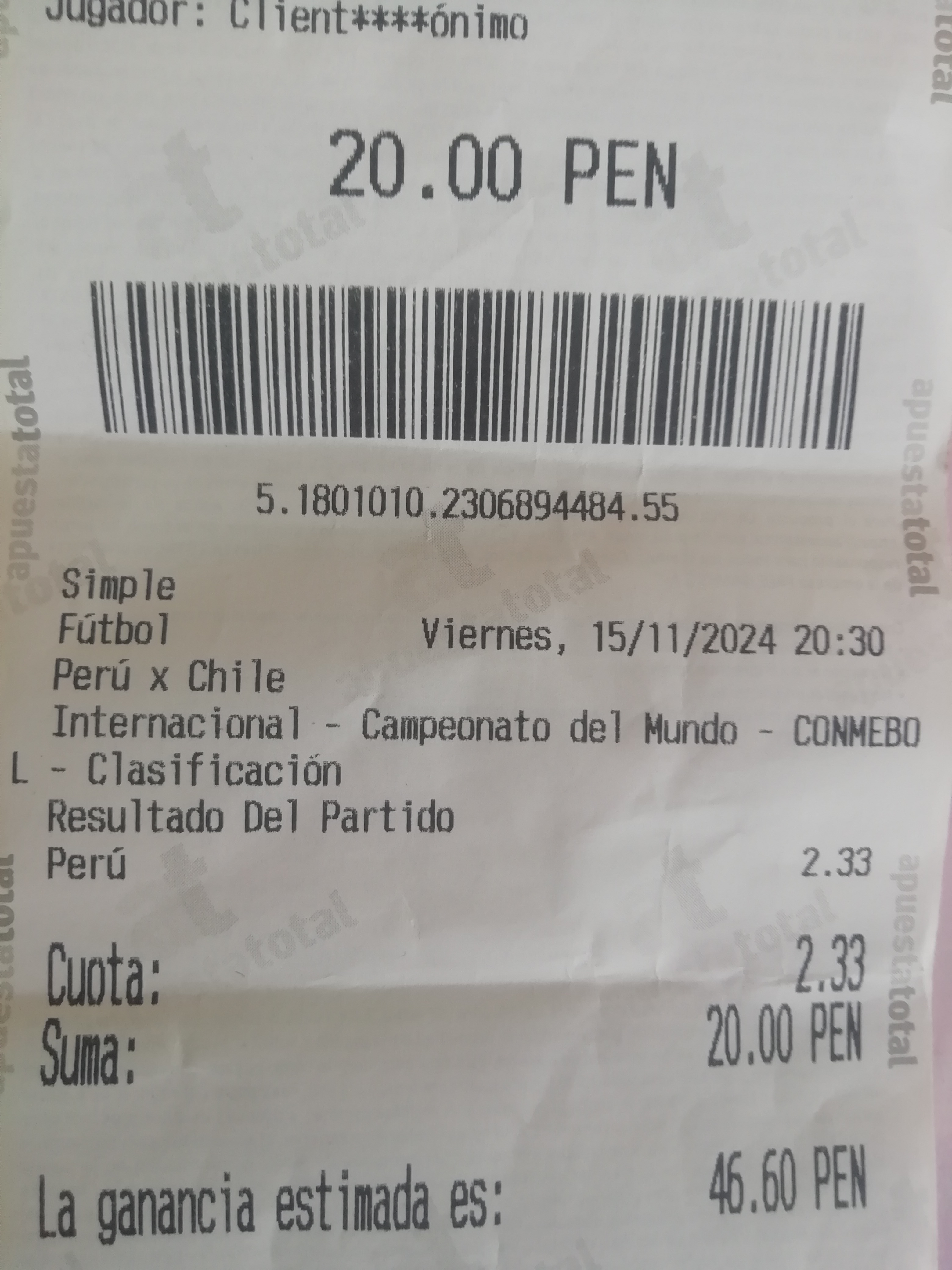 partido peru chile